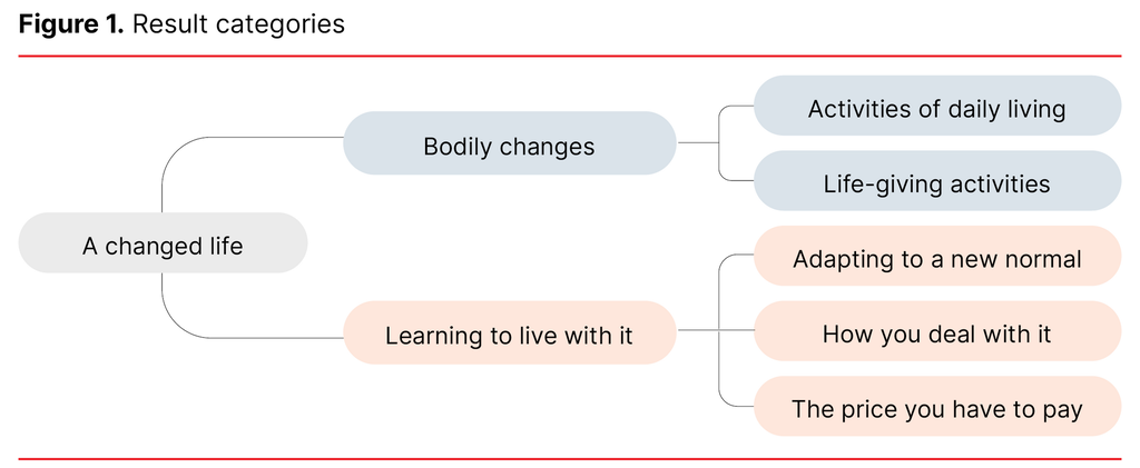 Figure 1. Result categories